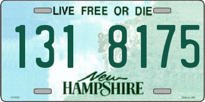 NH license plate 1318175