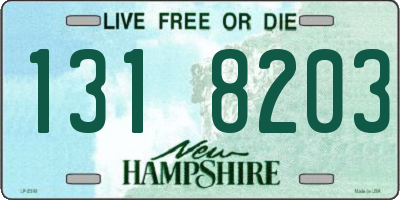 NH license plate 1318203