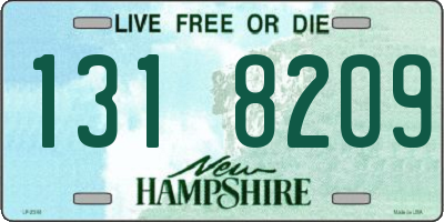 NH license plate 1318209