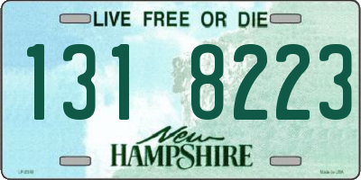 NH license plate 1318223