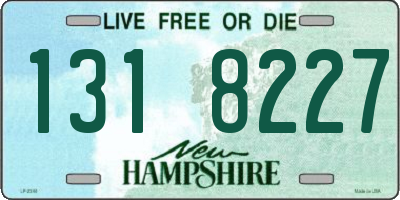 NH license plate 1318227
