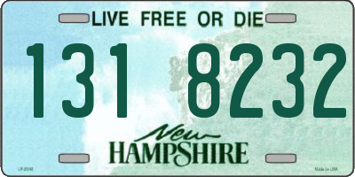 NH license plate 1318232