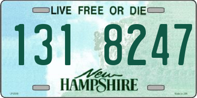 NH license plate 1318247