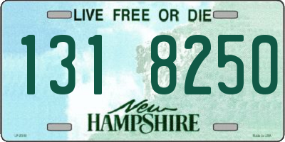 NH license plate 1318250
