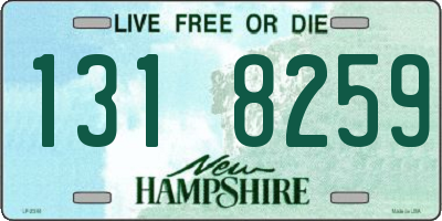 NH license plate 1318259