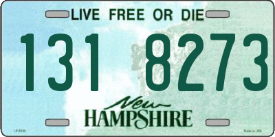 NH license plate 1318273
