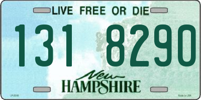 NH license plate 1318290