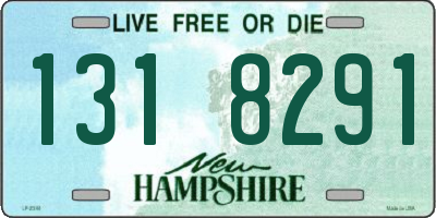 NH license plate 1318291