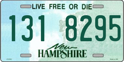 NH license plate 1318295