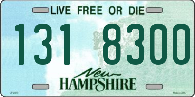 NH license plate 1318300
