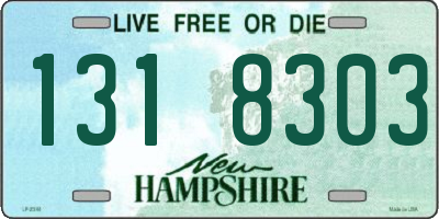 NH license plate 1318303