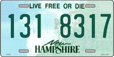 NH license plate 1318317