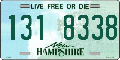 NH license plate 1318338