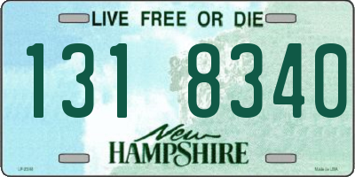 NH license plate 1318340
