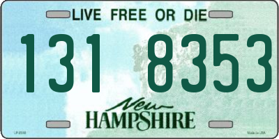 NH license plate 1318353