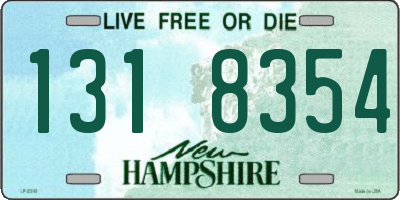 NH license plate 1318354