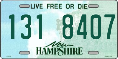 NH license plate 1318407