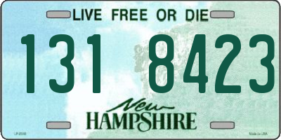 NH license plate 1318423