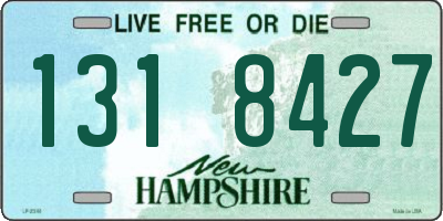NH license plate 1318427