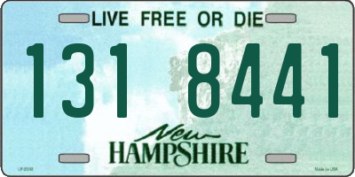 NH license plate 1318441