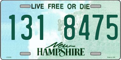 NH license plate 1318475