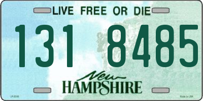 NH license plate 1318485