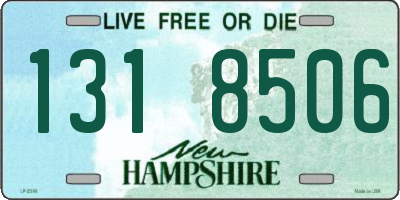 NH license plate 1318506
