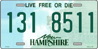 NH license plate 1318511