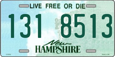 NH license plate 1318513