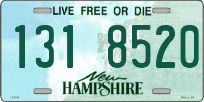 NH license plate 1318520