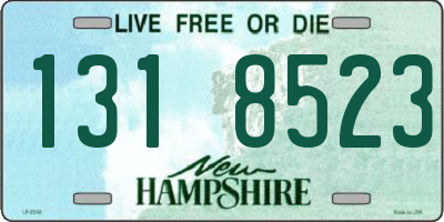 NH license plate 1318523