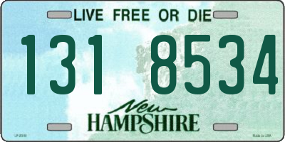 NH license plate 1318534