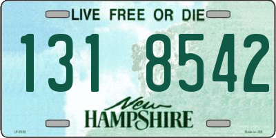 NH license plate 1318542