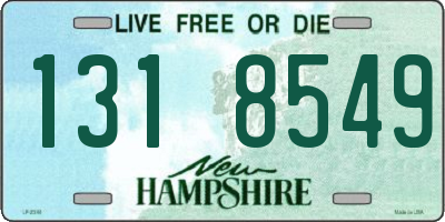 NH license plate 1318549