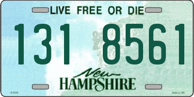 NH license plate 1318561