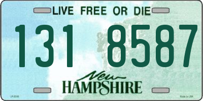 NH license plate 1318587