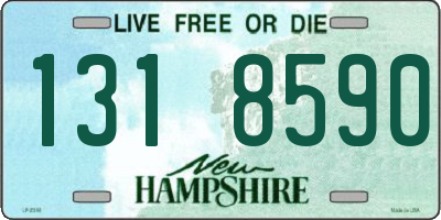 NH license plate 1318590