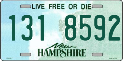 NH license plate 1318592