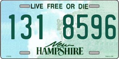 NH license plate 1318596