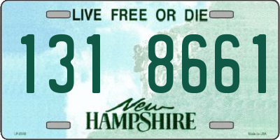 NH license plate 1318661