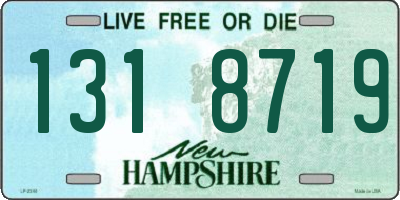 NH license plate 1318719
