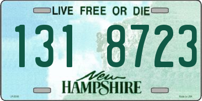 NH license plate 1318723