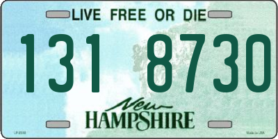 NH license plate 1318730