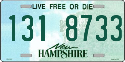 NH license plate 1318733