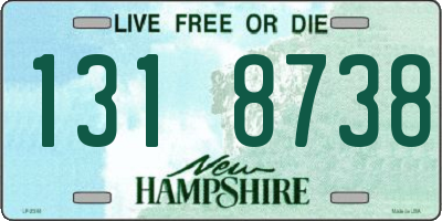 NH license plate 1318738