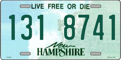 NH license plate 1318741