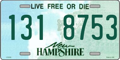 NH license plate 1318753