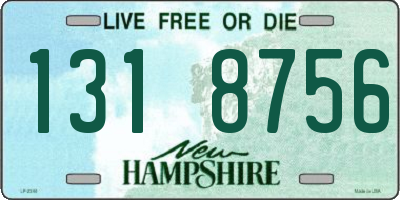 NH license plate 1318756