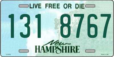 NH license plate 1318767