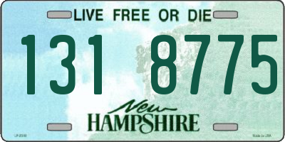 NH license plate 1318775